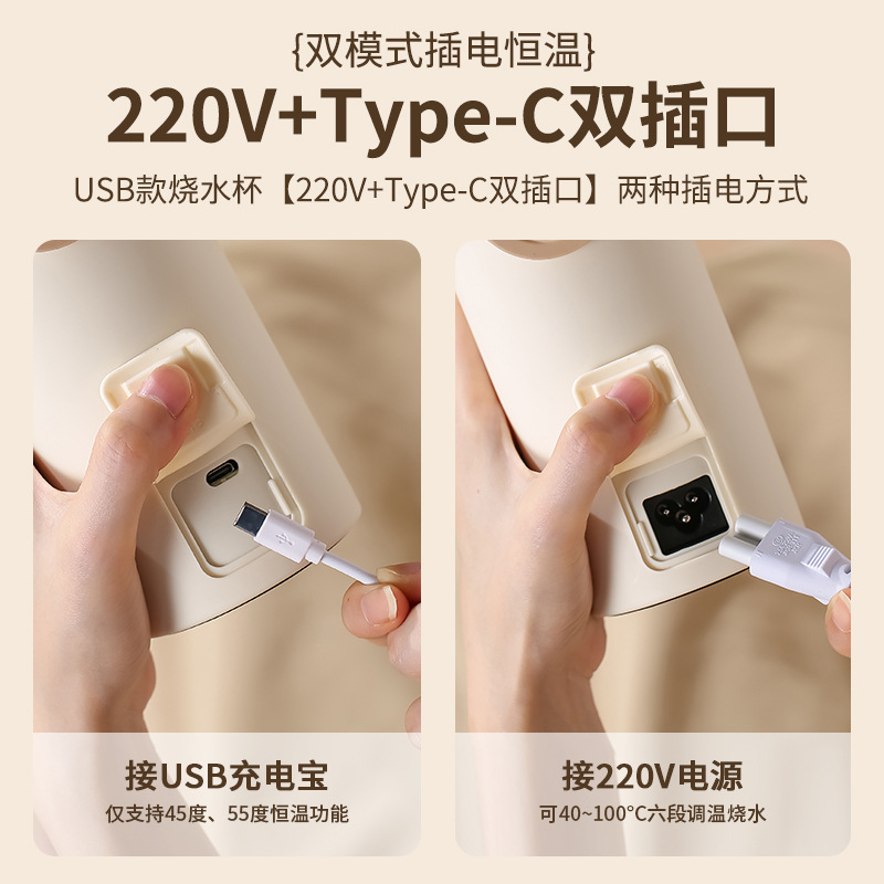 Portable Mini Electric Kettle, - Electric Kettle Temperature Control 评论和价格